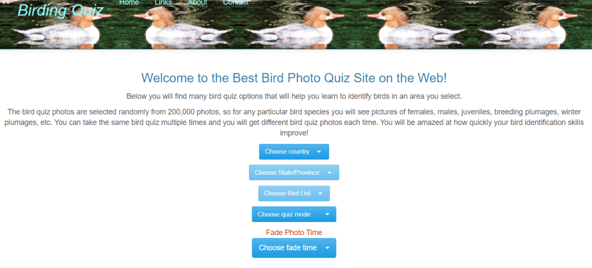 The 4 Best Birding Quizzes (And Why You SHOULD Do Them!) – Birding Outdoors