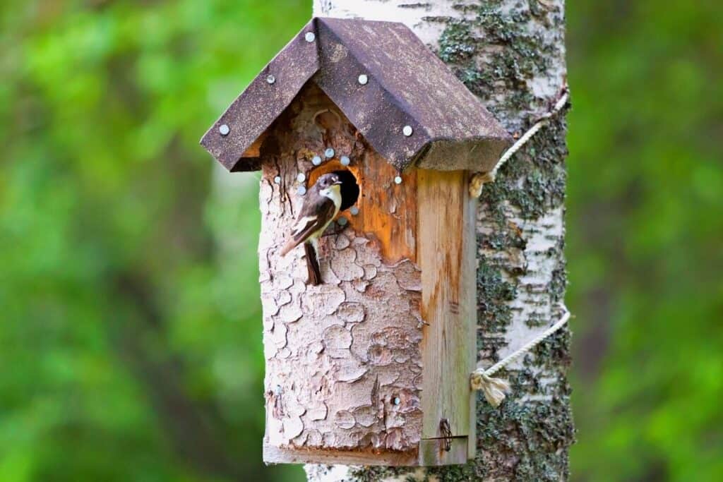 Wooden Multi-Style Bird Nesting Box Small Birds