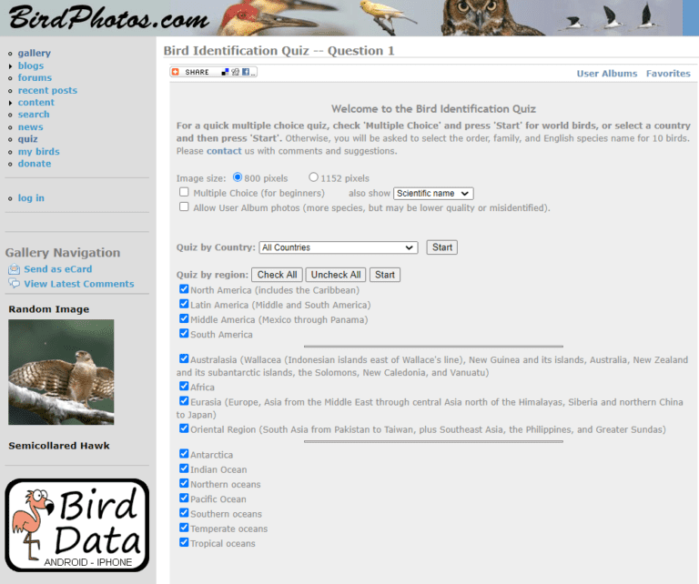 4 Best Birding Quizzes (And Why You Should Do Them!) - Birding Outdoors