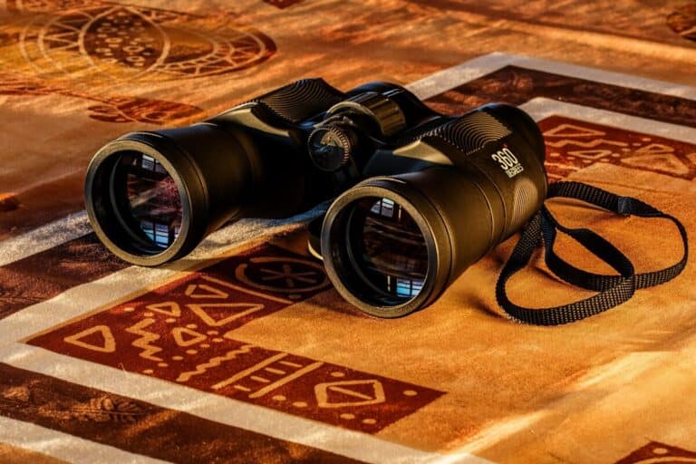 6 Best Budget Binoculars for Birding (Reviewed for 2023!)