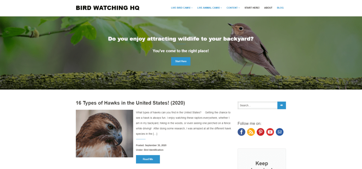 Top 10 Must-Know Websites For Birders (A Detailed List!) - Birding Outdoors