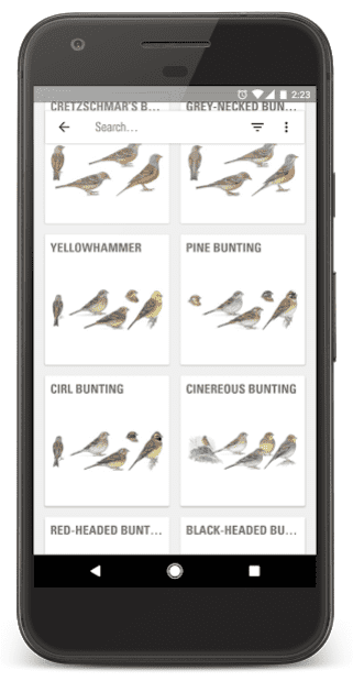 bird identification app