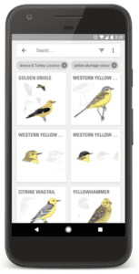 bird identification app bird identification app