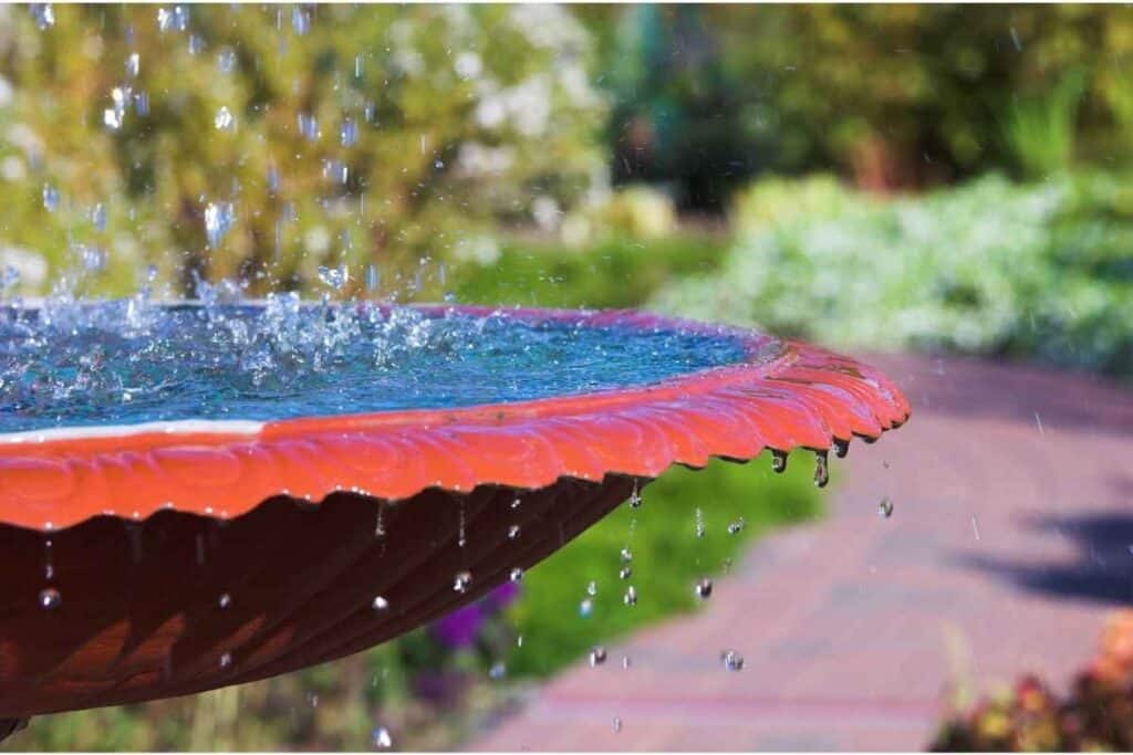 safe-paint-for-bird-baths-bird-bath-concrete-bird-bath-bird-bath-garden