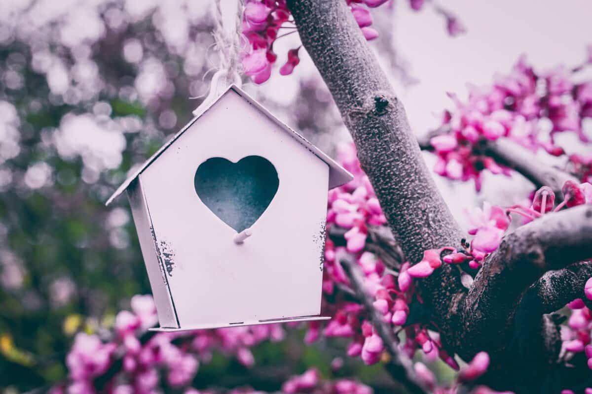 white wooden bird house