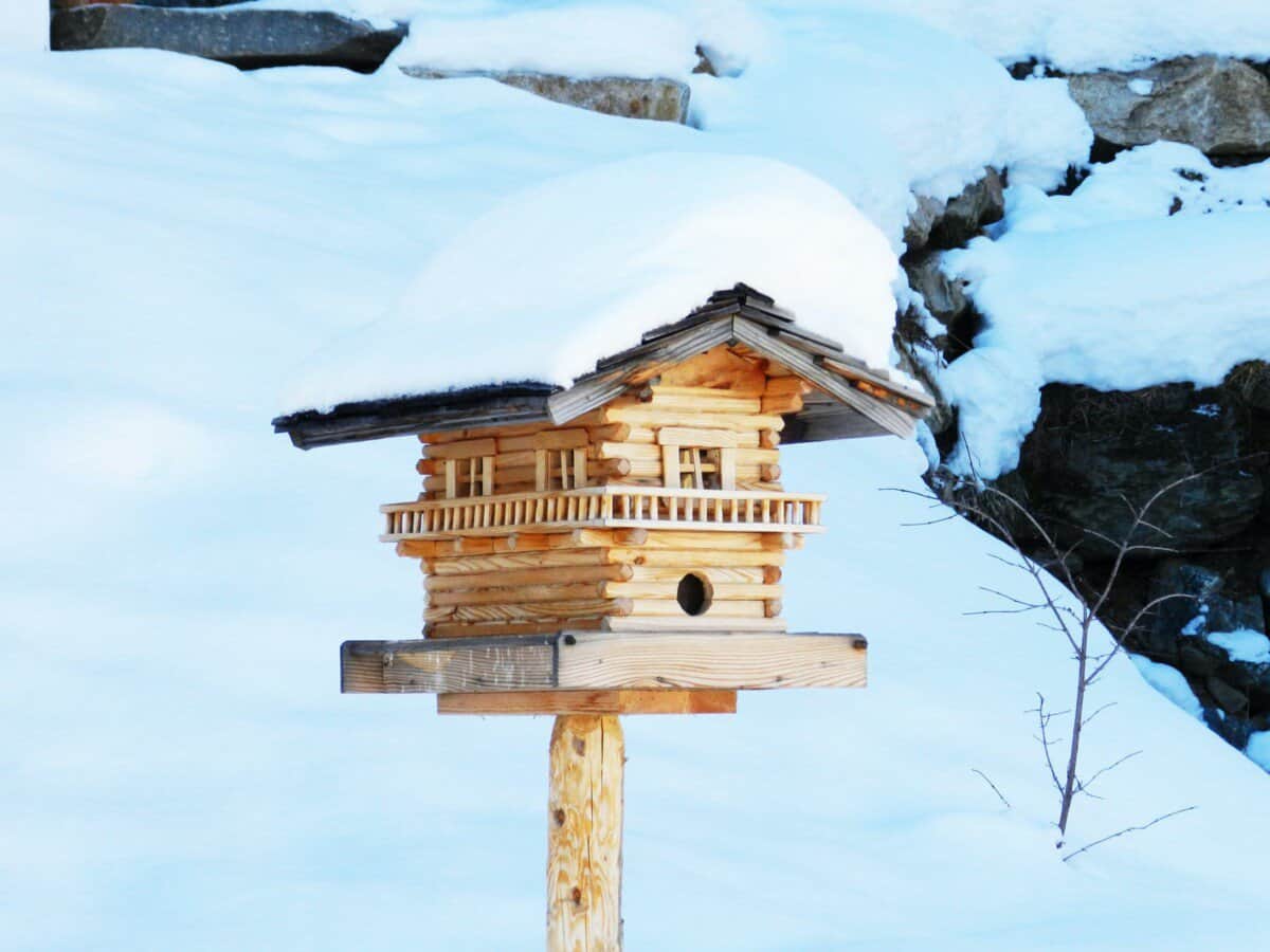 wooden bird house