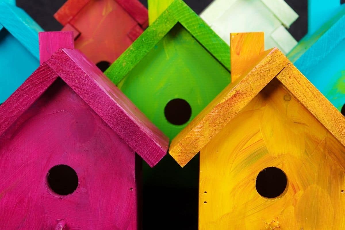 Safe Paint For Birdhouses: A Starter Guide! (Read THIS First ...