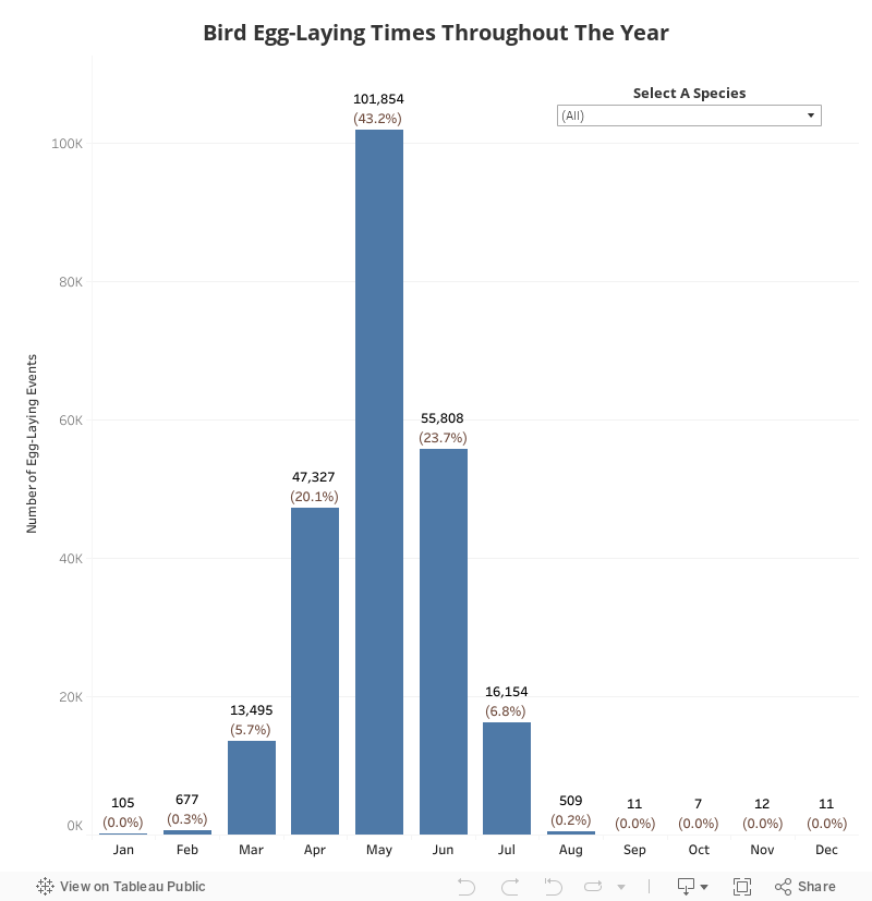 Bird Egg-Laying Events Throughout The Year Dashboard 
